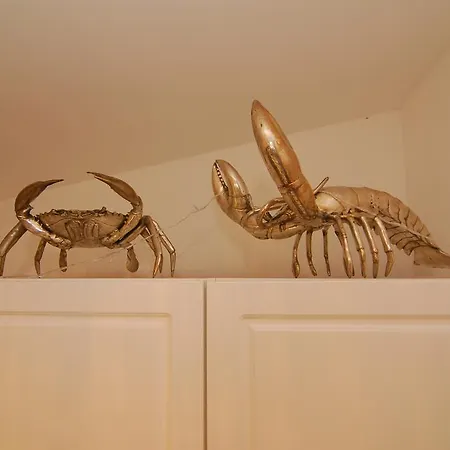 Apartment Imaginarium *